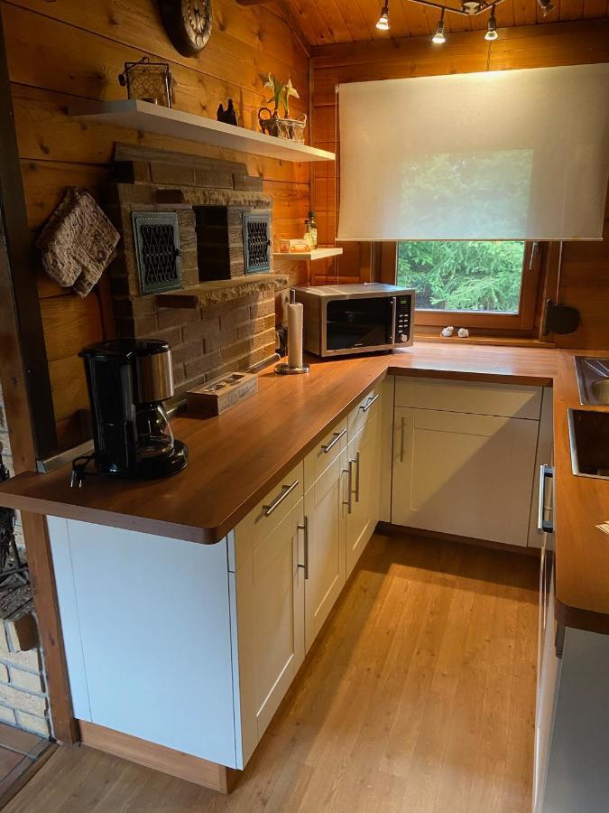 Blockhaus Ferienzauber Villa Bromskirchen Dış mekan fotoğraf